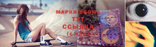 ГАЛЛЮЦИНОГЕННЫЕ ГРИБЫ Новозыбков