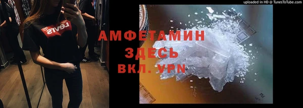 ГАЛЛЮЦИНОГЕННЫЕ ГРИБЫ Новозыбков