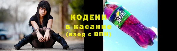 ГАЛЛЮЦИНОГЕННЫЕ ГРИБЫ Новозыбков