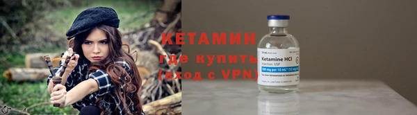 ГАЛЛЮЦИНОГЕННЫЕ ГРИБЫ Новозыбков