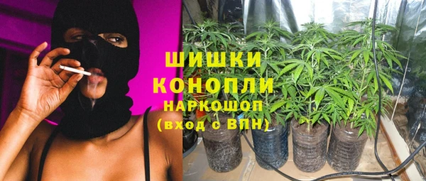 spice Белая Холуница