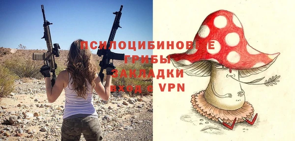 МДМА Новодвинск