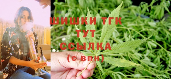 ГАЛЛЮЦИНОГЕННЫЕ ГРИБЫ Новозыбков