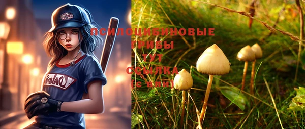 ГАЛЛЮЦИНОГЕННЫЕ ГРИБЫ Новозыбков