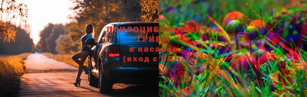 МДМА Новодвинск