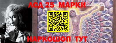 spice Кунгур