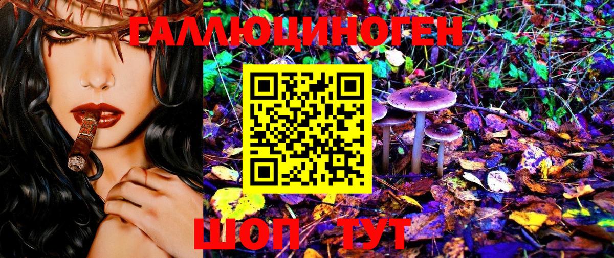 Галлюциногенные грибы GOLDEN TEACHER  Ногинск 