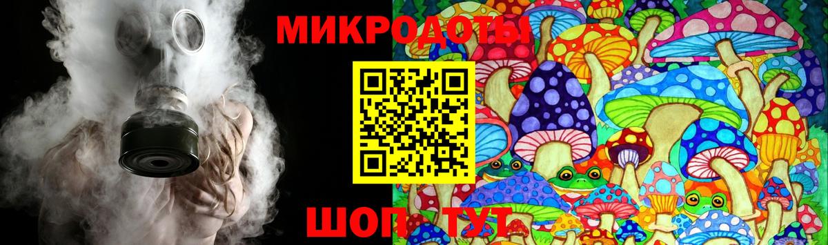 Галлюциногенные грибы Psilocybe Ногинск