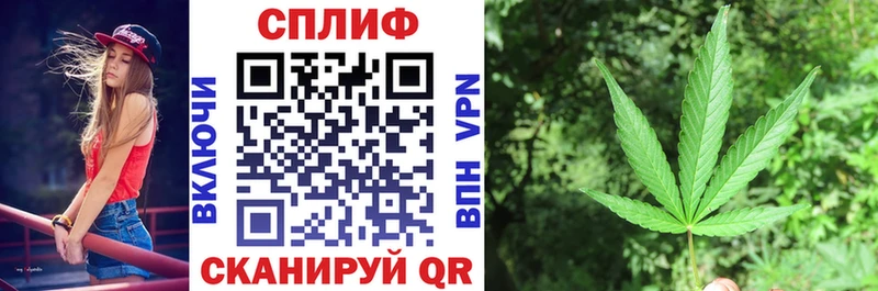 Марихуана план  Ногинск 